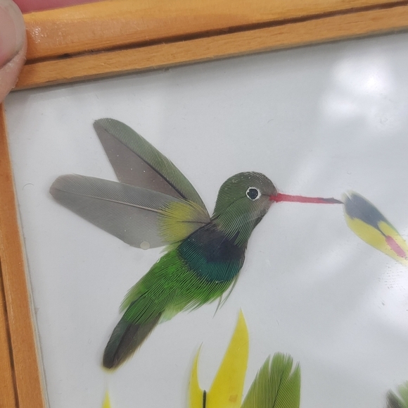Original artist signed Hummingbird primitive framed artwork - Picture 7 of 11
